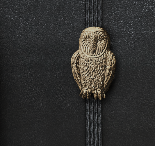 Owl | Brass